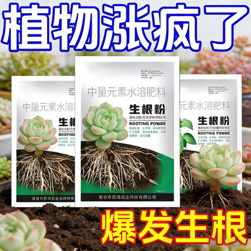 【兰花生新根】生根爆根剂兰花烂根叶黄不成活壮根专用爆根原液