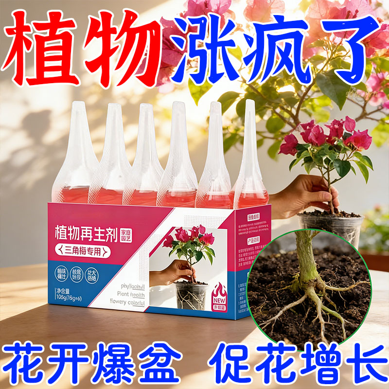 三角梅花保花营养土2025年限定图片
