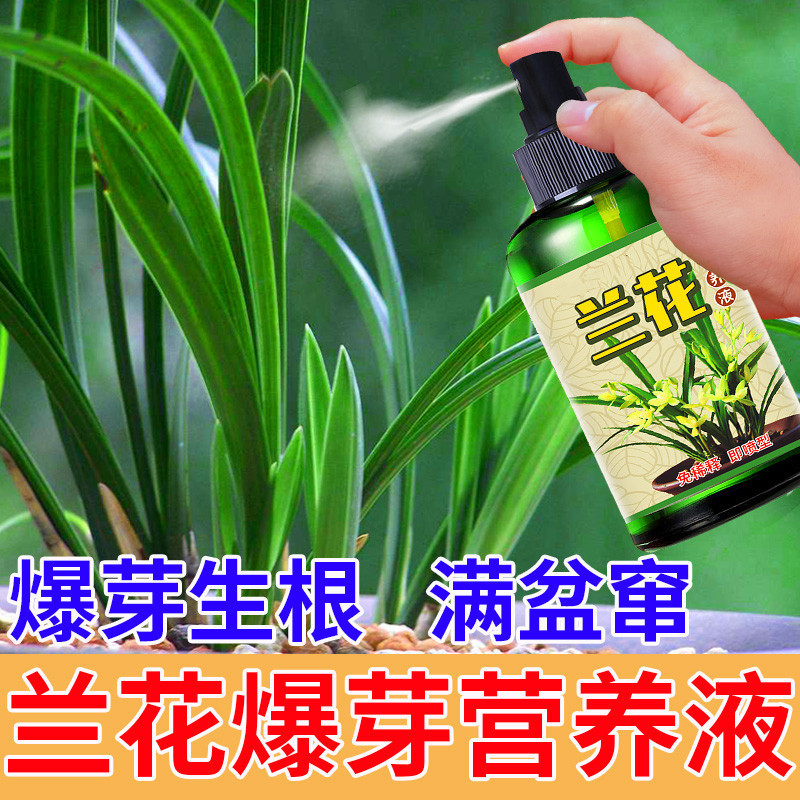 花神纪兰花专用营养液爆根花
