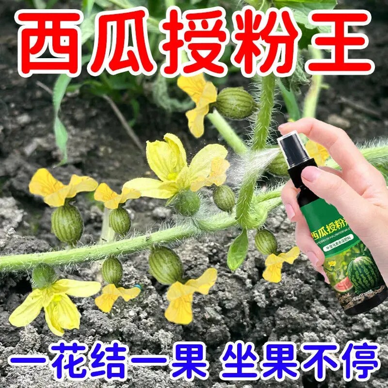西瓜授粉专用药点花药免沾花授粉坐果精保花保果素防落防畸有机肥