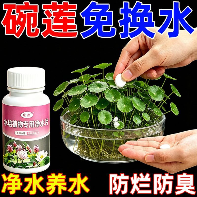 水培植物净水片改善臭水浑水护根生长水培植物花卉碗莲富贵竹通用
