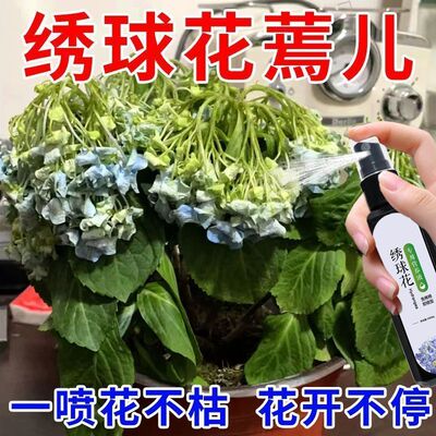 一喷返绿】绣球花营养液急救蕉叶掉花苞催花防黄叶不开花专用肥料