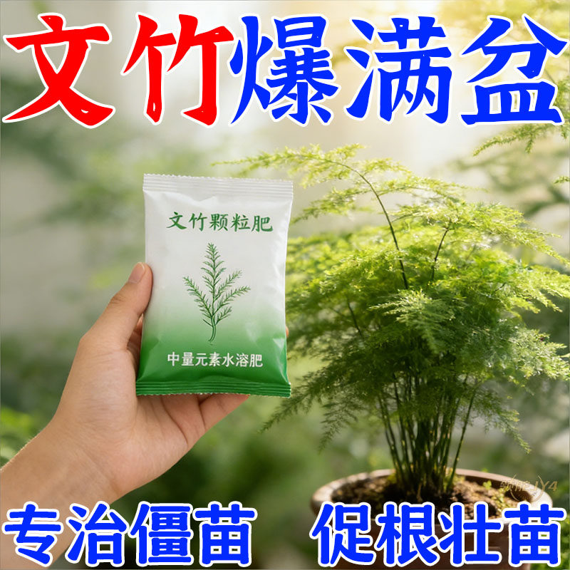 竹子专用肥料毛竹室内盆栽竹类缓释肥文竹竹土竹促芽防黄叶干尖