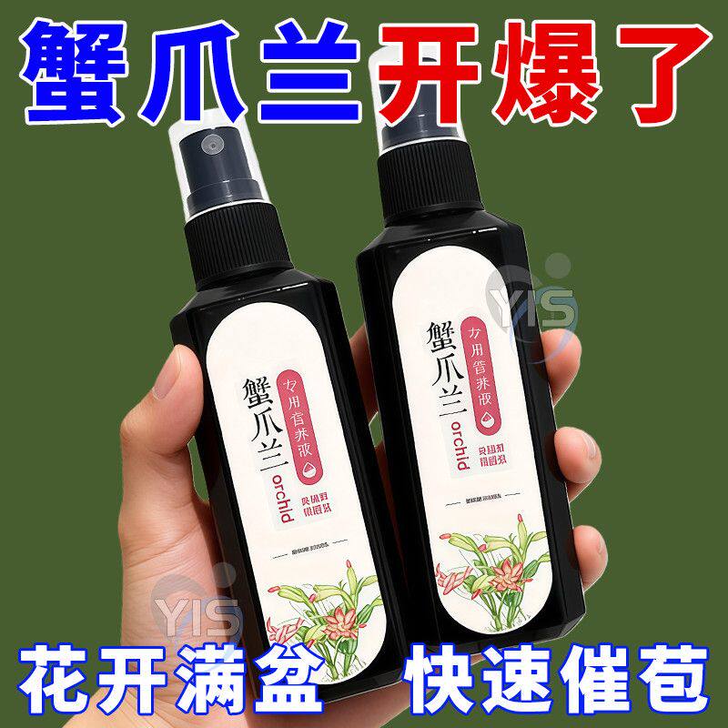 蟹爪兰营养液室内枯萎倒伏发黄