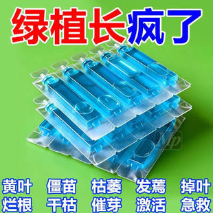 速效再生剂花卉复活液盆栽光杆发黄掉叶浓缩促生长营养液园艺用品