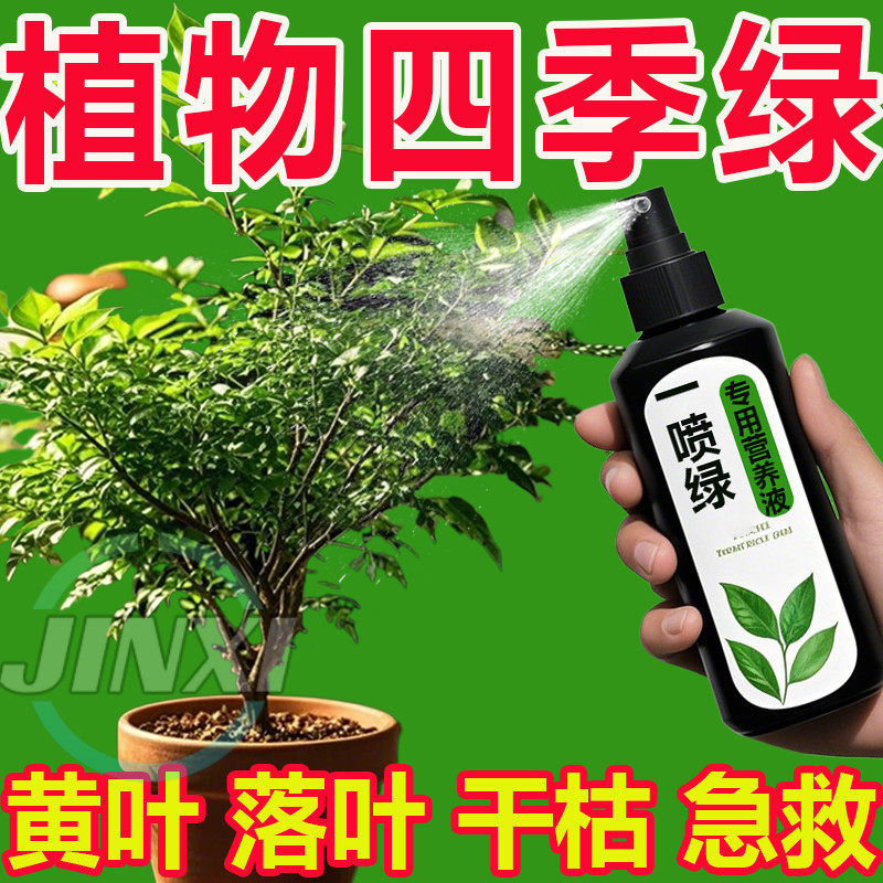 爆芽王老桩芽防黄叶营养液