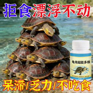 【无精打采】乌龟超能多维乌龟常备药维生素乌龟不爱吃饭食欲不振