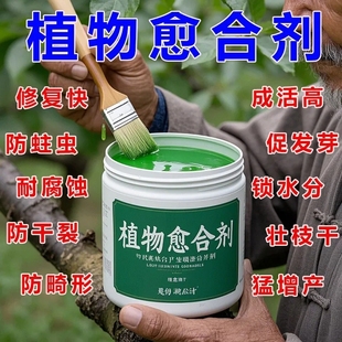 盆景伤口愈合膏造型修剪保护剂防腐防菌防枯枝促愈合盆景养护专用
