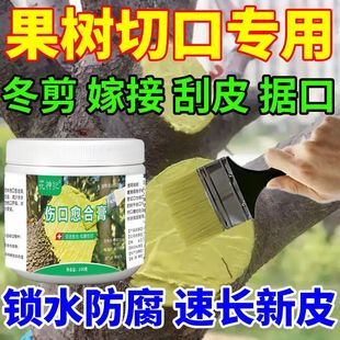 植物伤口盆景愈合剂涂抹膏园林果树柑橘快速修复树木树叶涂膜剂