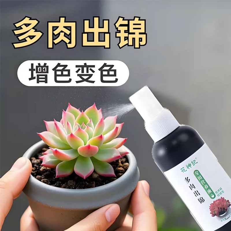 花神纪多肉增肥上色营养液
