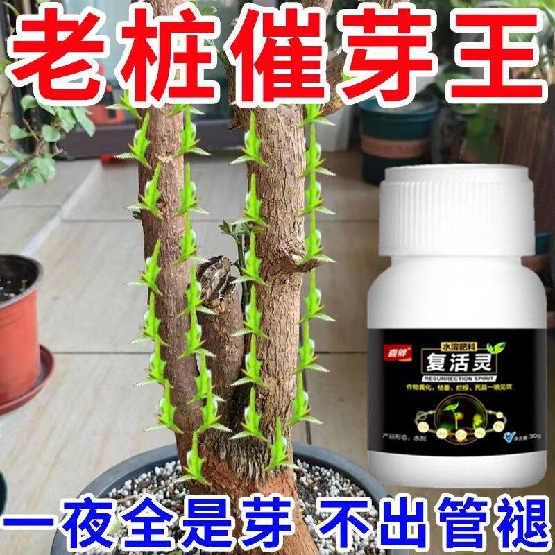 【复活灵】老桩催芽剂促芽僵苗快速发新芽防黄叶促花营养复活肥,鲜花速递/花卉仿真/绿植园艺,家庭园艺肥料,淘宝优惠券,粉丝福利购,淘宝优惠卷