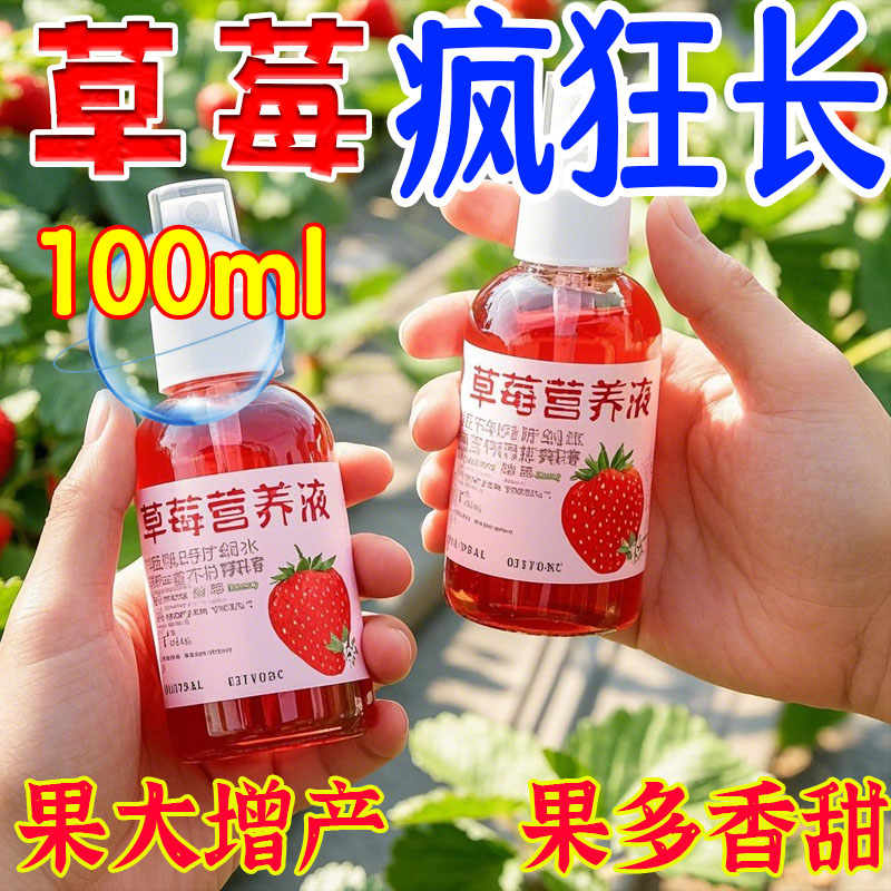 红又大】草莓复合有机发酵营养土专用水溶肥料生根壮苗促长结果