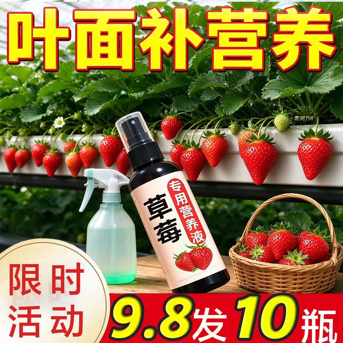 狂结果】草莓营养液防黄叶蕉叶果实瘦小不结果促生长绿叶壮根氮肥