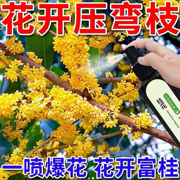 【急救】桂花树专用营养液肥料桂花叶子发黄浇花花元素园艺营养液