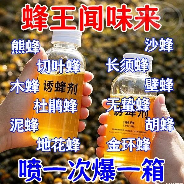 强效诱蜂液蜂王防逃器新手诱蜂专用蜂蜡诱蜂收蜂纯天然蜂王信息素