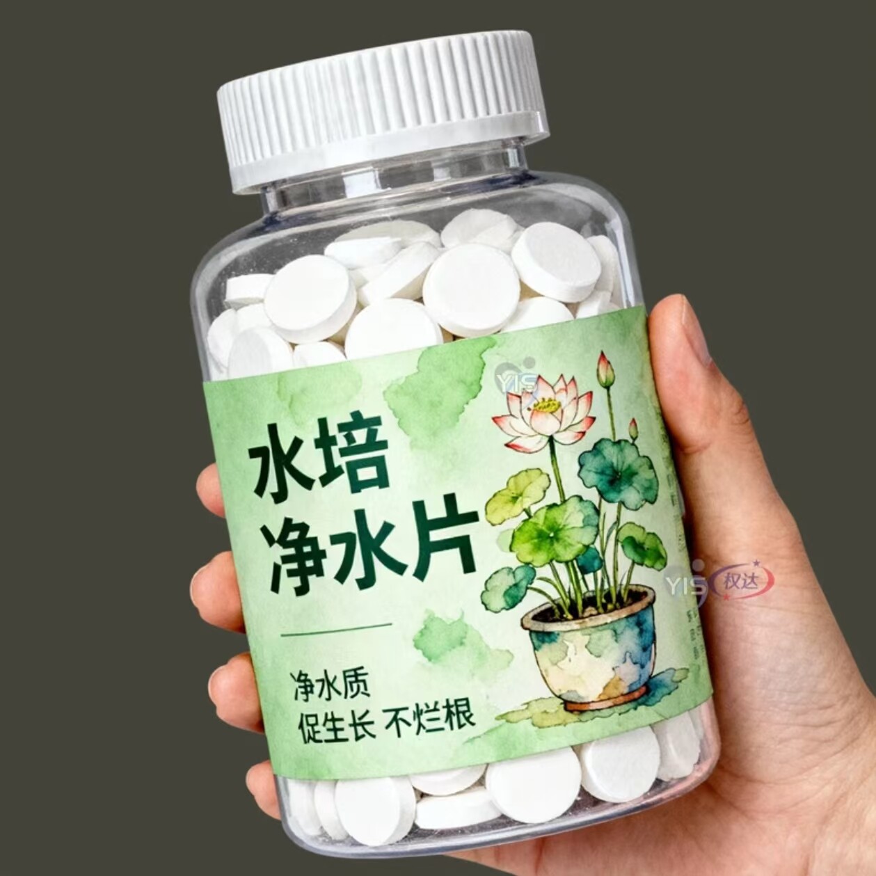 免换水碗莲荷花净水片催芽睡莲开花黄叶黑烂叶增肥果蔬花卉保鲜剂