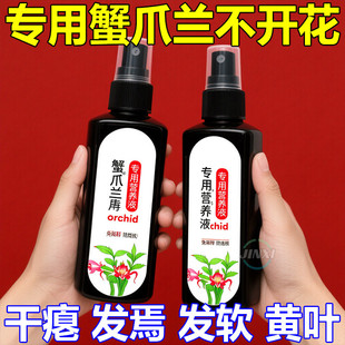 蟹爪兰专用营养液肥料养花肥料蟹爪兰四季开花免稀释养花发软黄叶