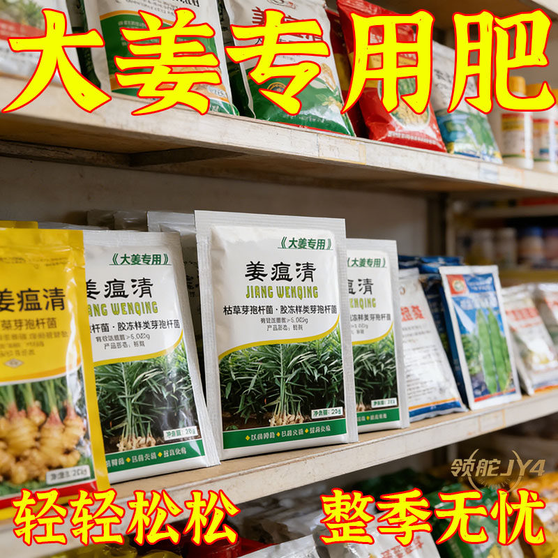 领舵姜瘟清大姜烂脖子专用