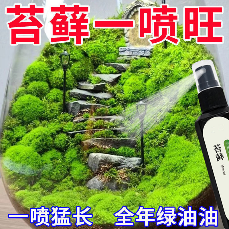 【蹭蹭猛长】苔藓植物专用营养液青苔微景观增色防枯防黄催生孢子