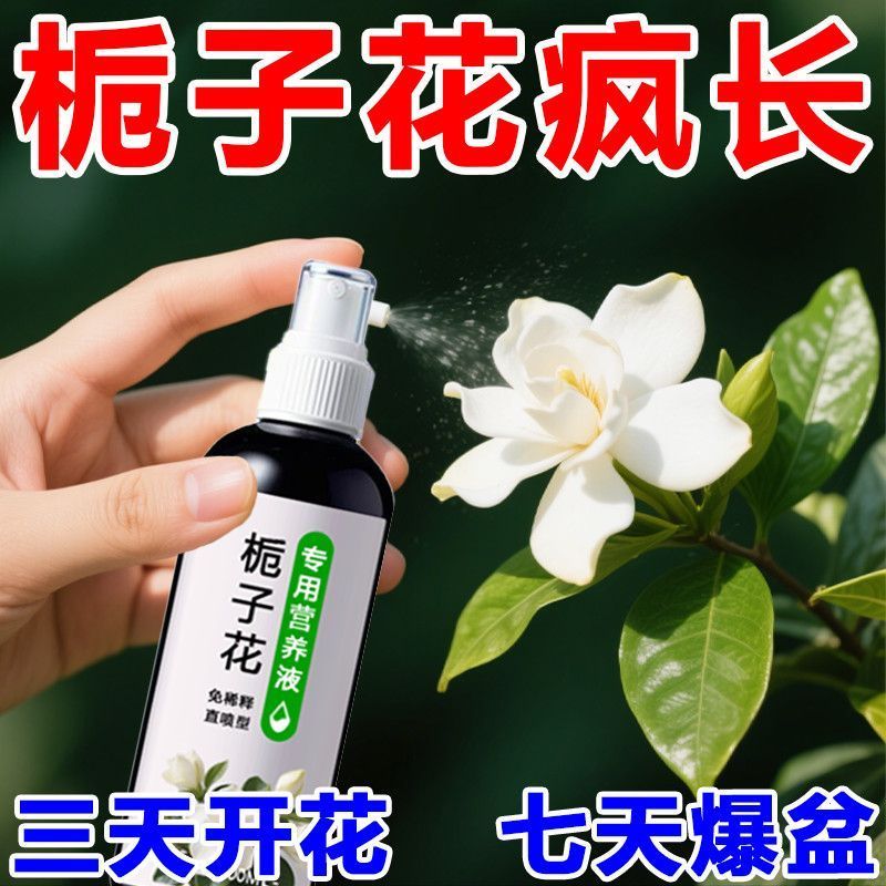 栀子花专用营养液花苞促开花