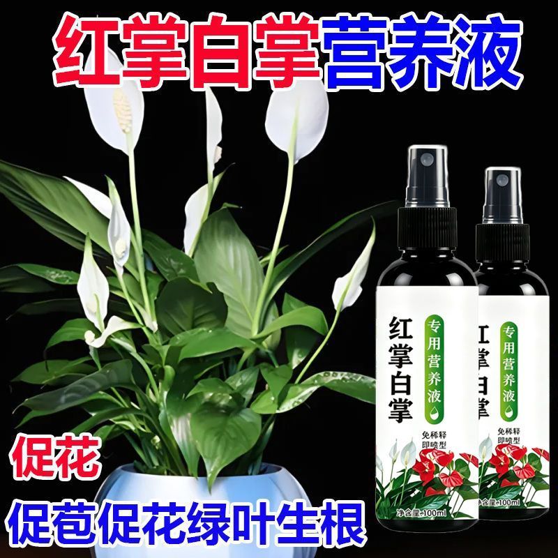 红掌白掌营养液一帆风顺蔫叶黄叶长势弱促叶促绿促花通用营养液