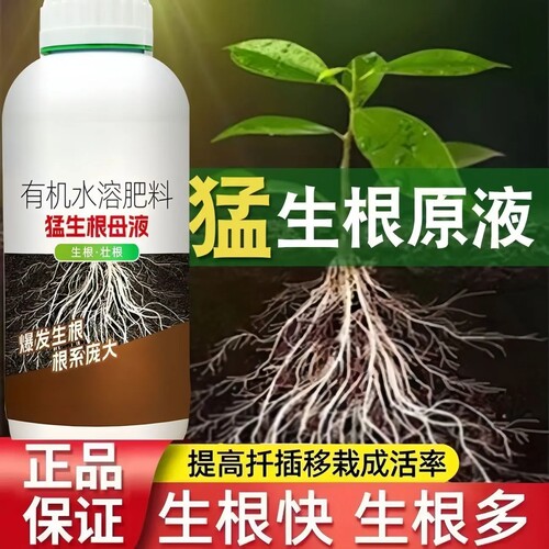 猛生根爆根生根液植物通用绿叶