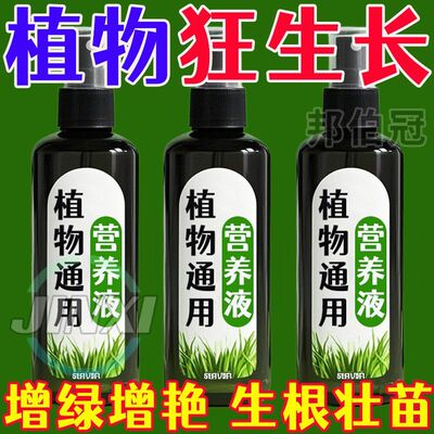 幸福树专用营养液生根防黄叶