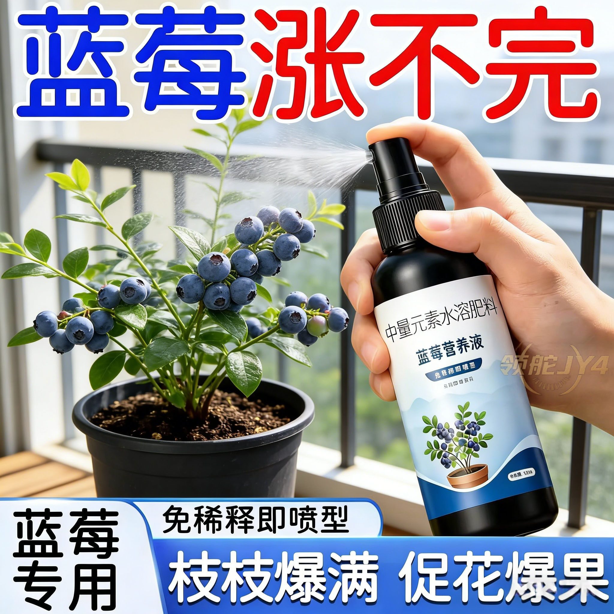 壮根蓝莓营养液促生长专用肥盆栽蓝莓生根壮苗叶片浓绿根系发达