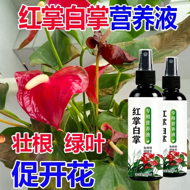 红掌白掌一帆风顺专用营养液