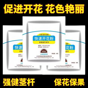 正品快速开花粉正宗三角梅花芽四季三角梅开花粉通用型三角梅催花