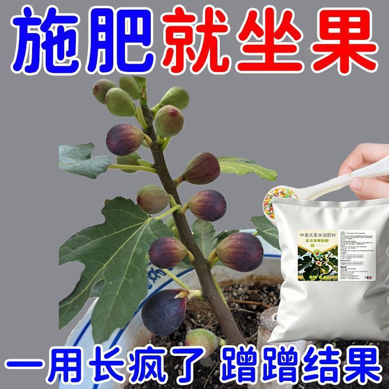 无花果专用肥料花肥有机营养肥开花生根缓释肥花卉植物营养肥料