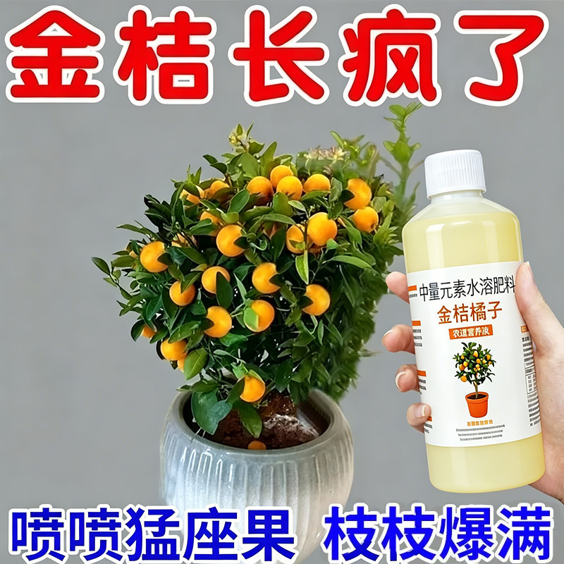 金桔专用营养液橘子促花生根养根保果壮苗叶片肥厚护根强壮植物