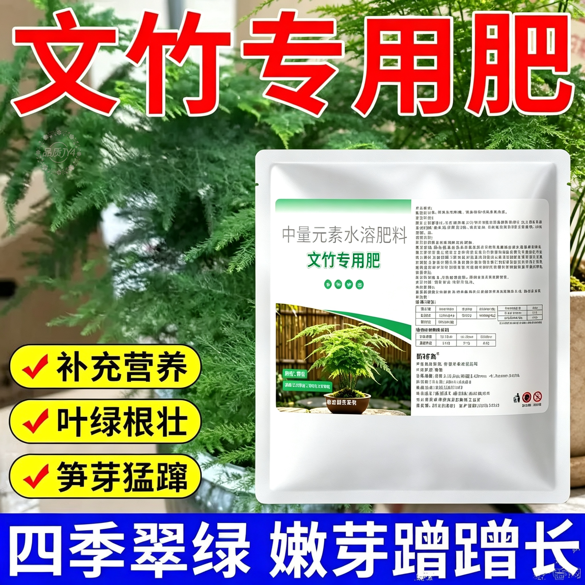 【文竹颗粒肥】文竹爆芽促长肥治叶子发黄枯瘦干尖烂根落叶促生长