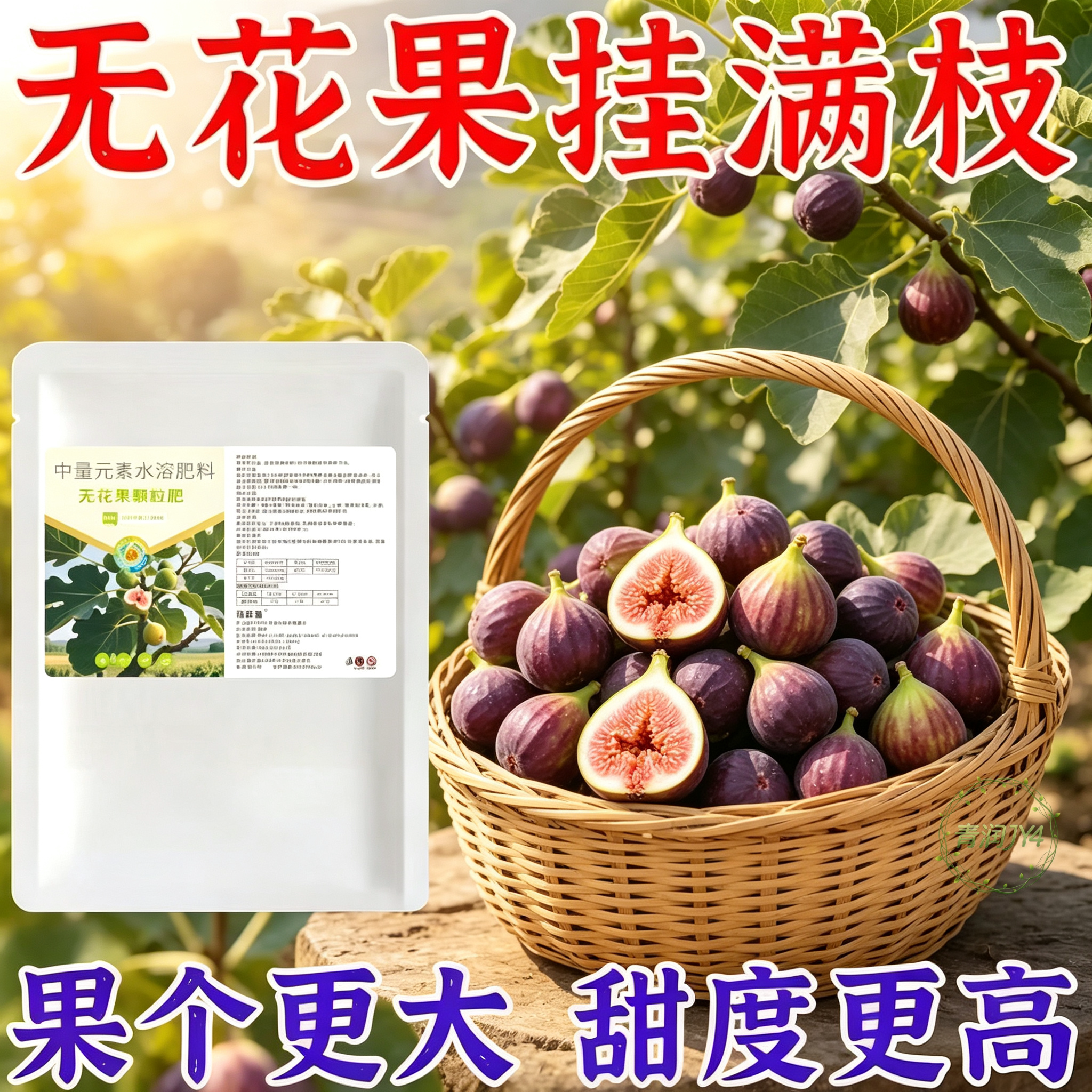 无花果芽花坐果缓释肥