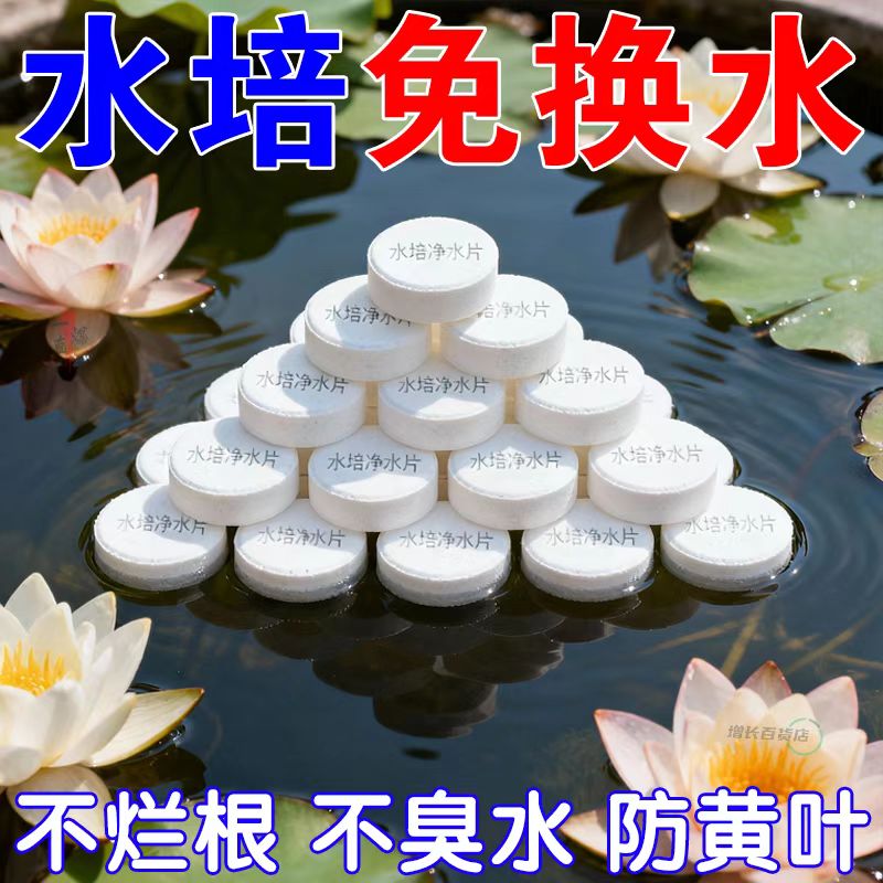 邦伯水培净水片防臭促生根爆氧