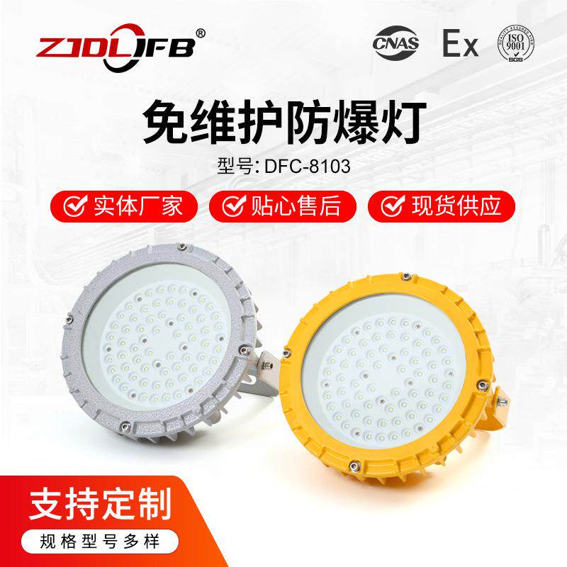 24V36V30W50W弯杆管吊式LED防爆平台灯防水防尘护栏式IIC防爆灯