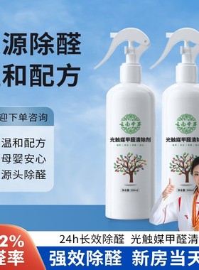 LTW渠-快速除醛光触媒甲醛清除剂 新房家用空气净化去甲醛除味LZY