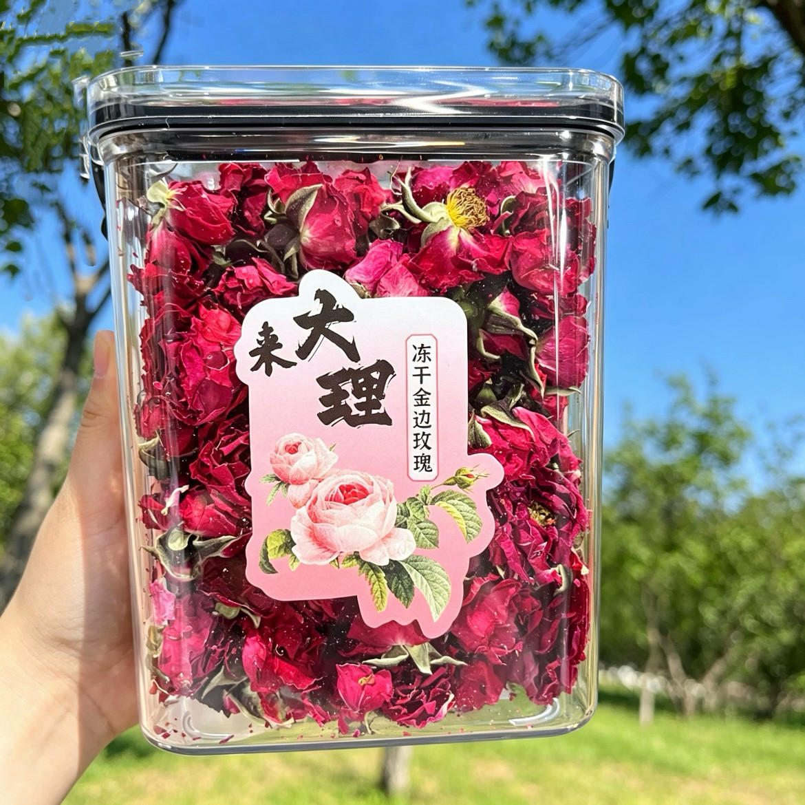 云南特产金边玫瑰花茶可食用无熏硫大理旅游伴手礼女生冻干玫瑰