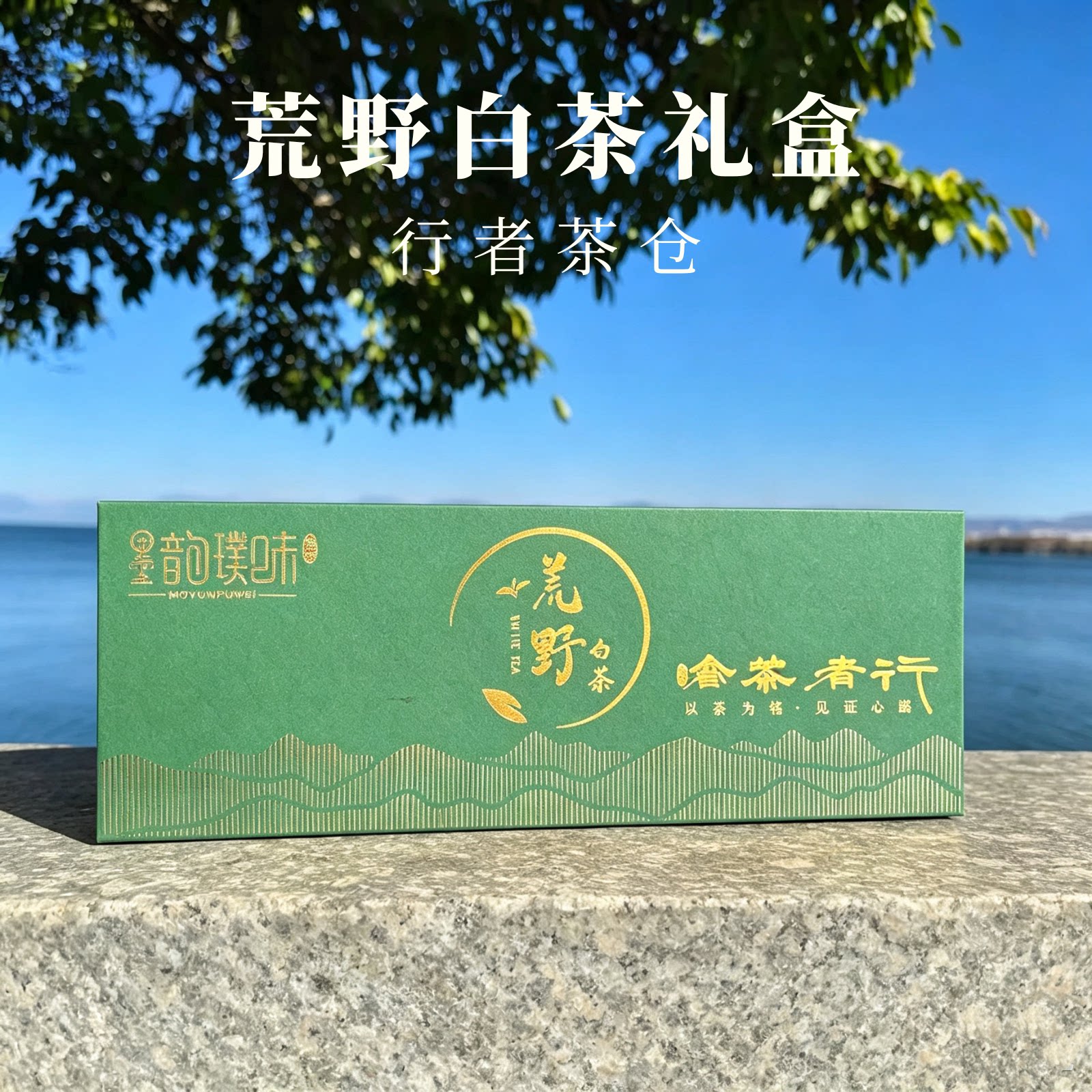 云南荒野老白茶小方块简单好携带冲泡便捷送礼送领导礼盒装伴手礼