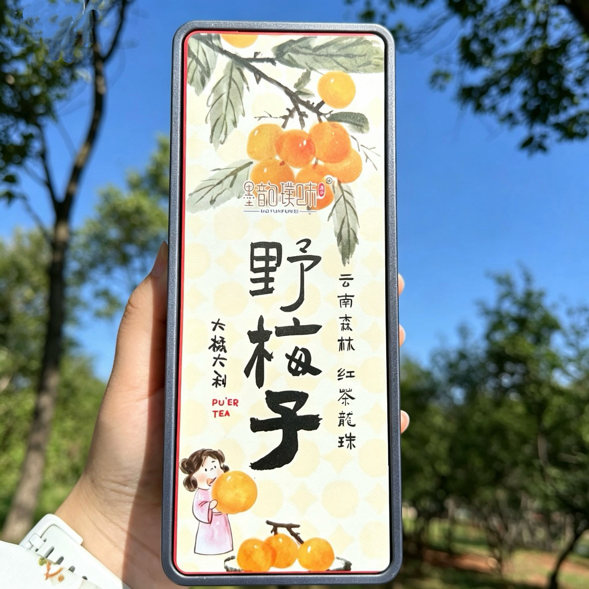 滇红龙珠云南茶叶大理特产滇红茶沱茶8颗女生泡水伴手礼花茶甘甜