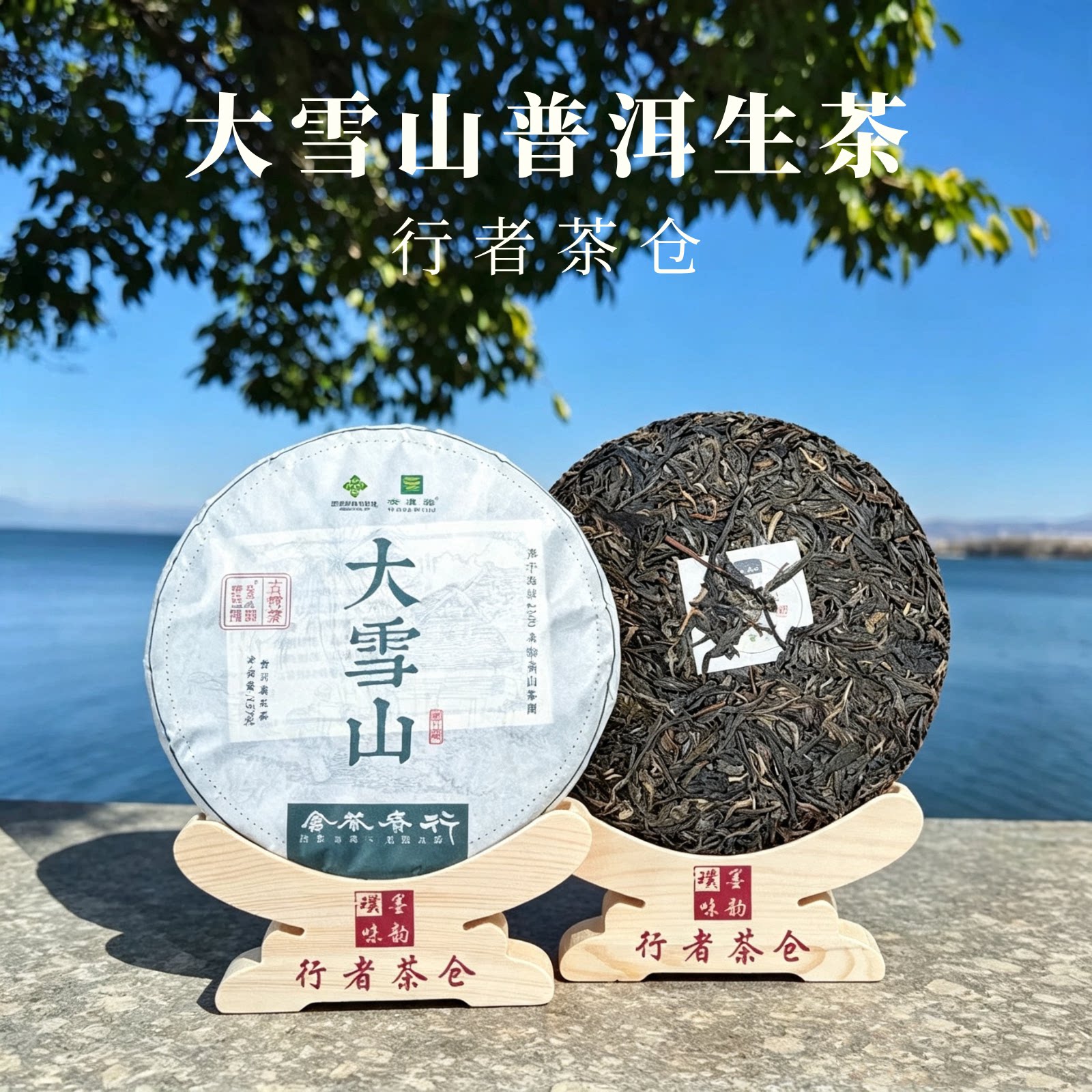 2022年云南古树普洱茶生茶紧压茶
