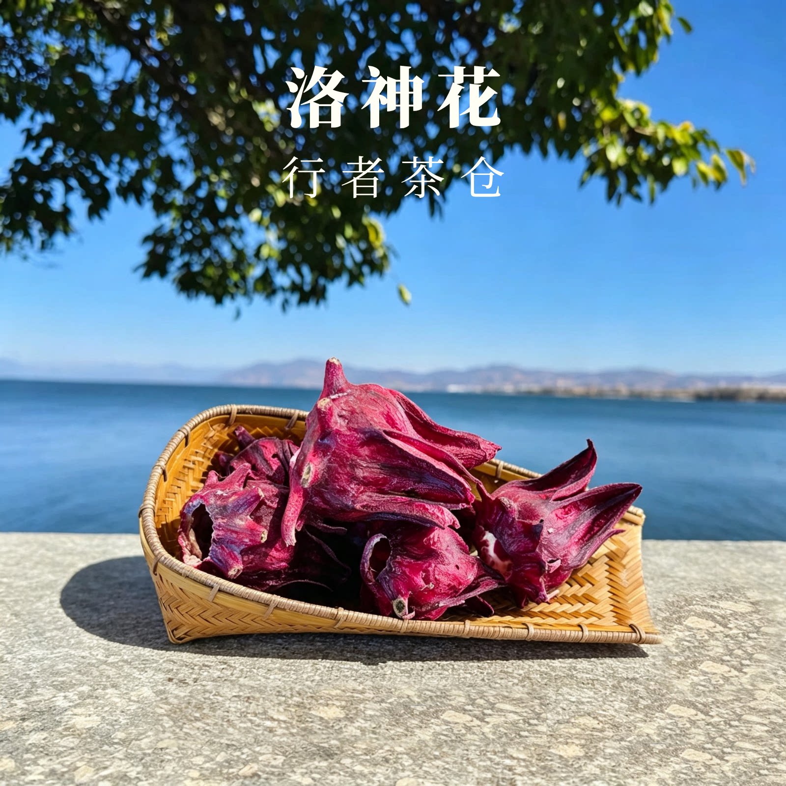 云南冻干洛神花玫瑰茄中药材伴手礼特级送礼推荐花茶大理办公室