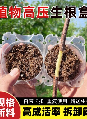 植物高压繁殖盒嫁接生根花卉果树控根扦插枝繁殖球生根育苗繁殖器