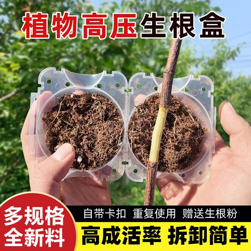 高压生根繁殖盒花卉果树扦插