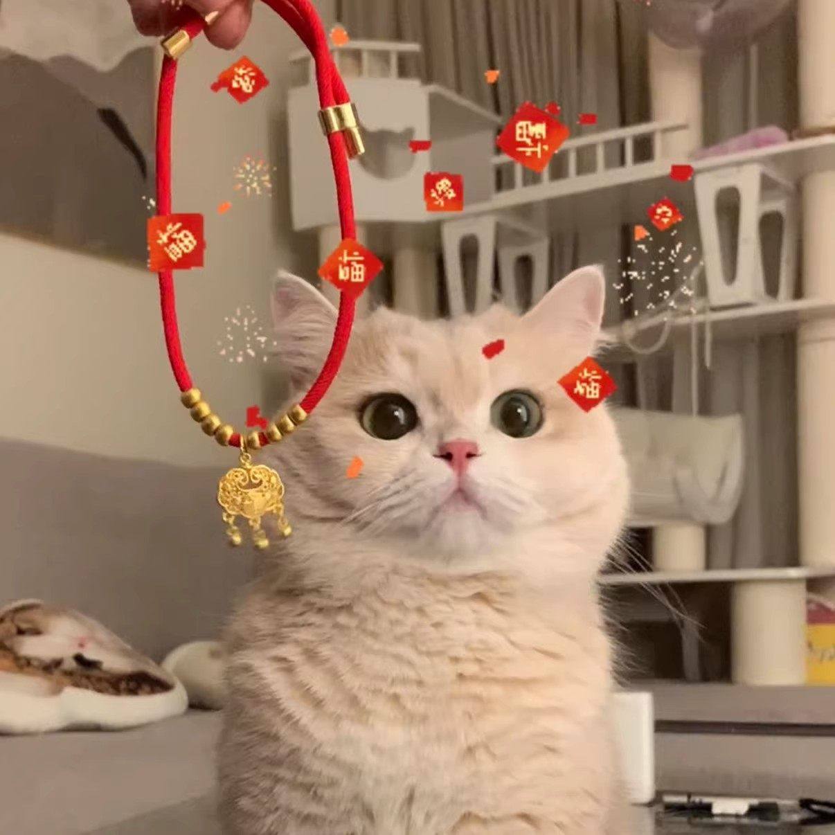 猫咪项圈新年狗狗铃铛无声长命锁猫项圈红绳装饰宠物配饰兔子猫猫,宠物/宠物食品及用品,项圈/肩带,淘宝优惠券,粉丝福利购,淘宝优惠卷