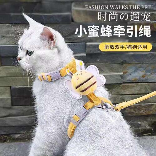 可爱蜜蜂背心式猫牵引绳可伸缩
