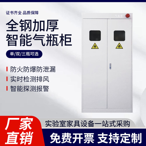 化验室气瓶柜安全柜实验室全钢防爆双瓶煤气罐乙炔带报警钢瓶柜子