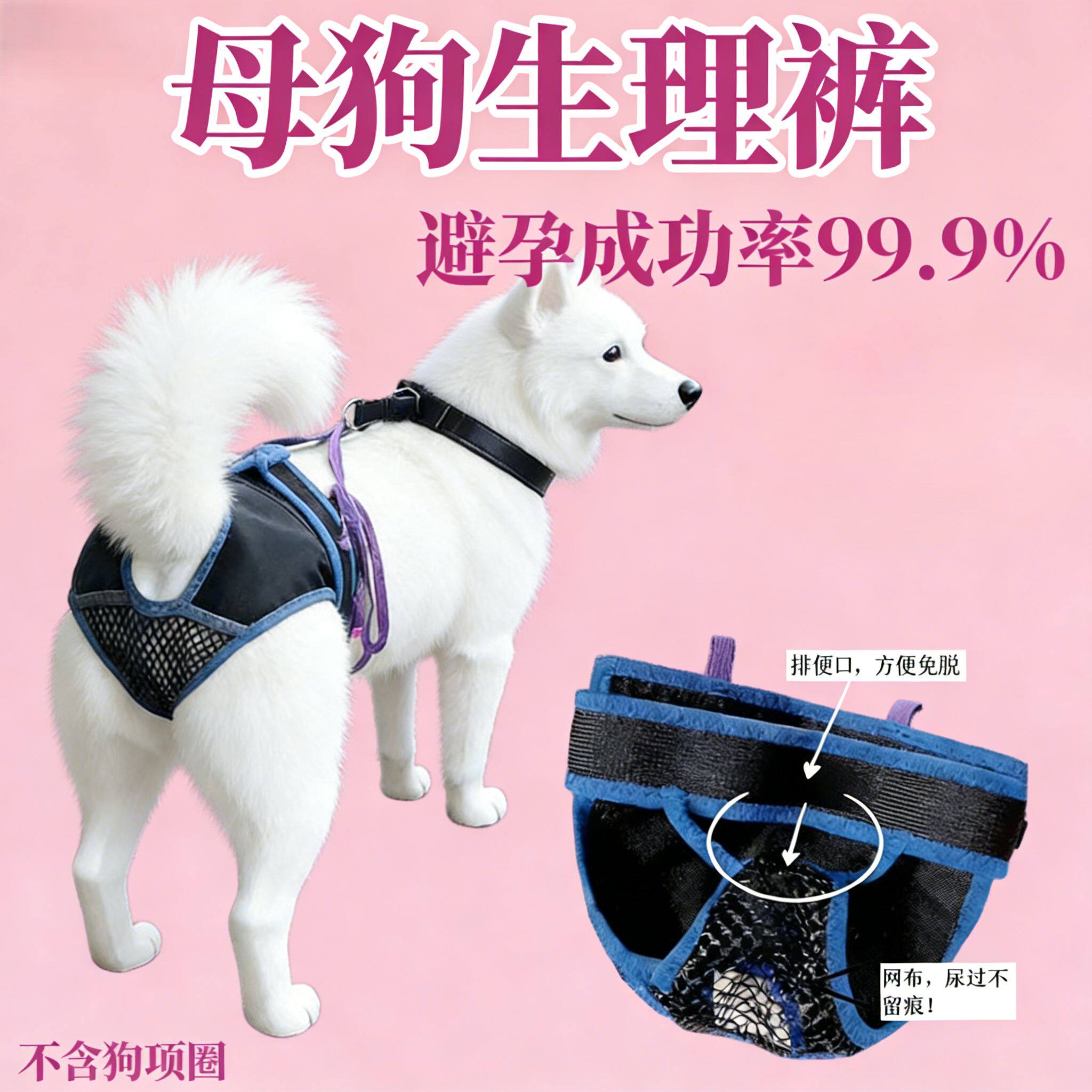 母狗内裤生理裤带狗狗姨妈期卫生透气可水洗防骚扰绝育安全避孕骑