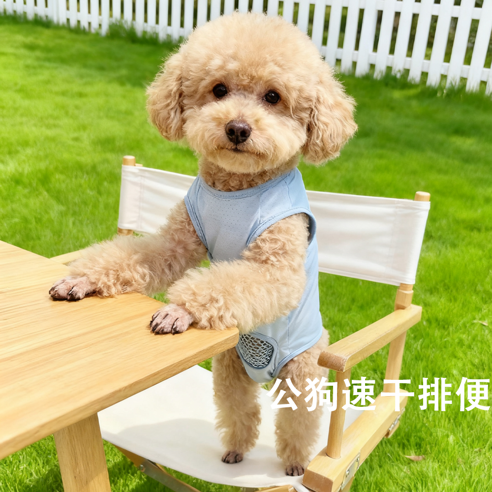 夏季冰丝薄款狗狗生理裤背心
