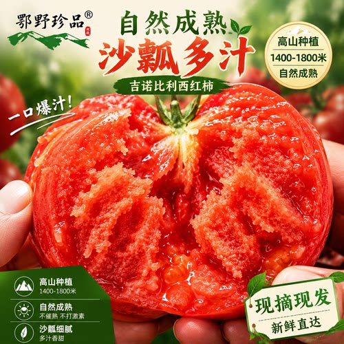 长阳山疏西红柿口感番茄